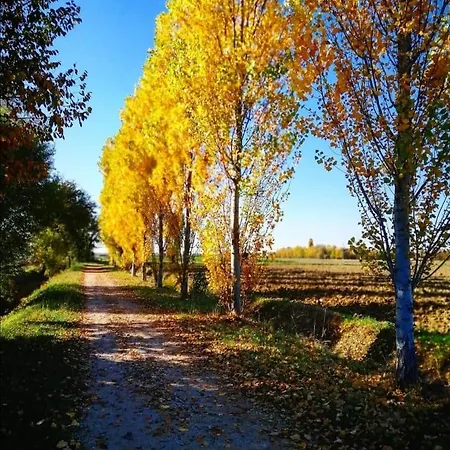 Colombera